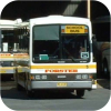 Forster Buslines fleet images